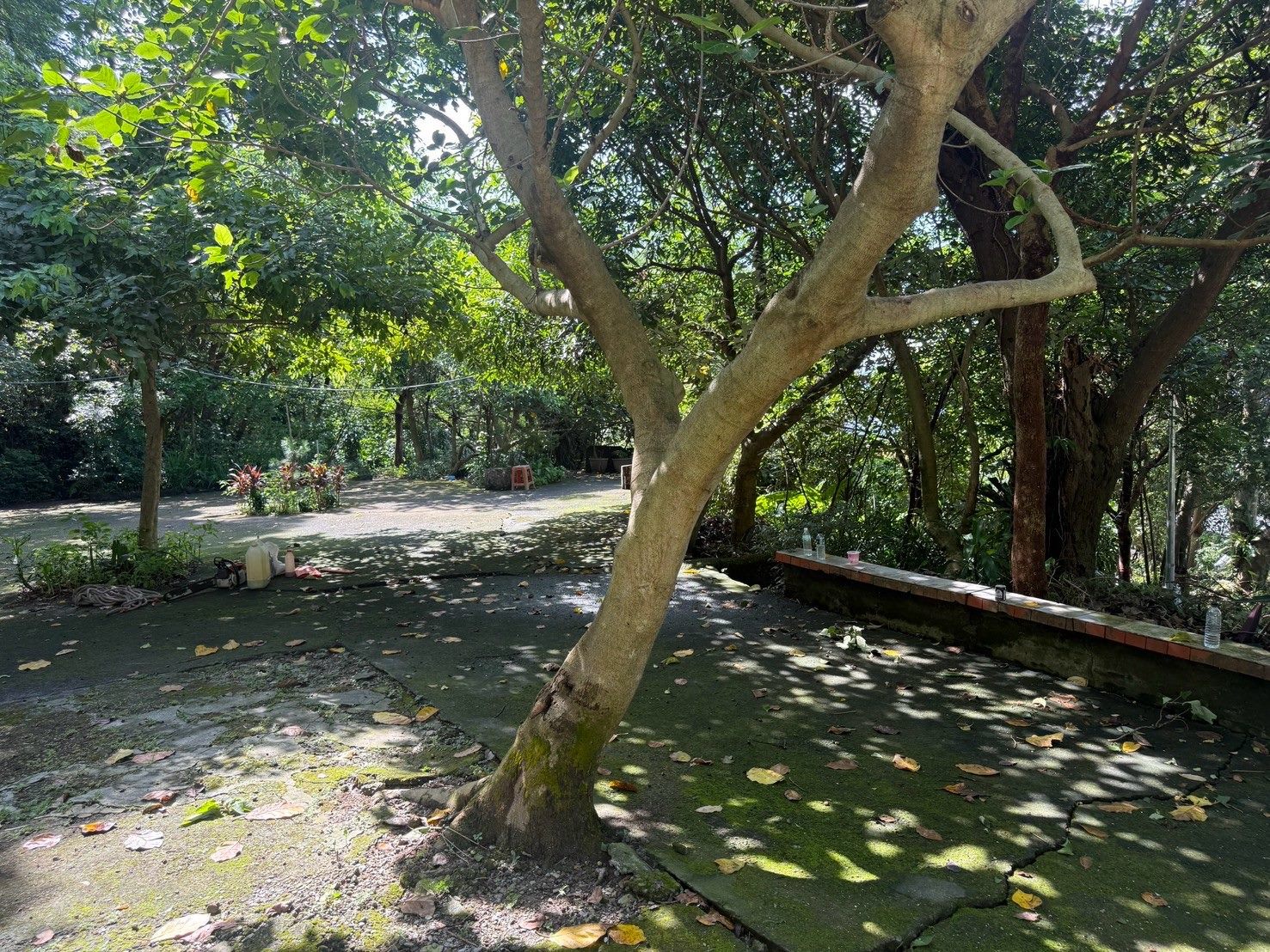 Taipei GEO Removes Illegal Pavement on Jiantan Mountain