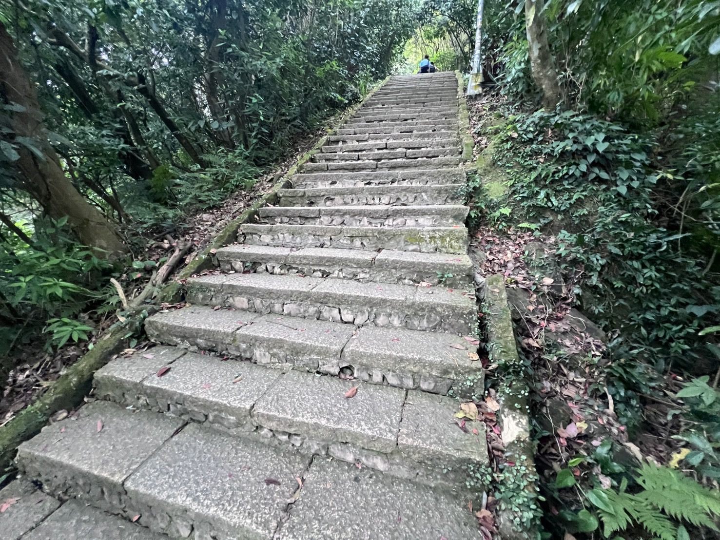 照片1－施工前舊步道石板龜裂、鬆動